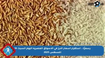 رسميًا.. استقرار أسعار الأرز في الأسواق المصرية اليوم السبت 16 أغسطس 2025